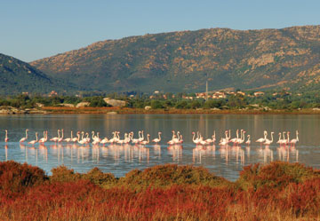 Immagini di San Teodoro